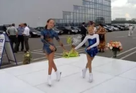 Каток с синтетическим льдом своими руками