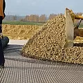Геосетка базальтовая