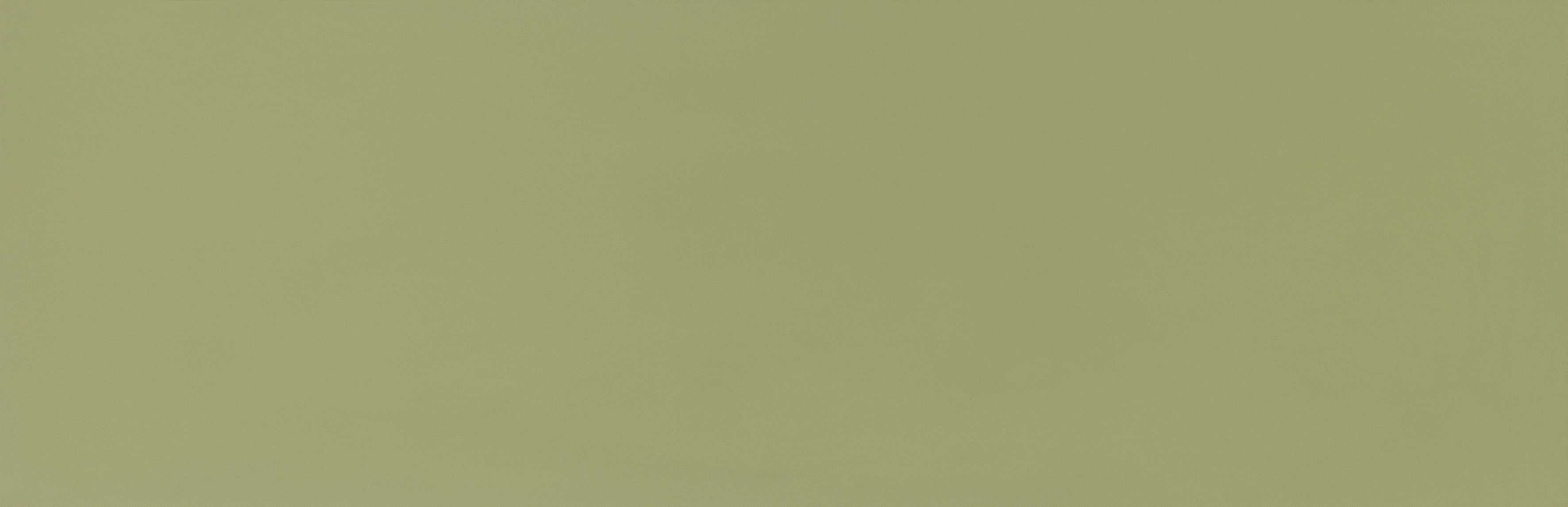 Цвет нат. Широкоформатный керамогранит зеленый. Зеленый керамогранит 3000. Матовая зеленая поверхность. Плитка citta Pistaccio 10х30.