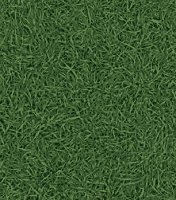 Линолеум Bingo Grass-025 (IVC)