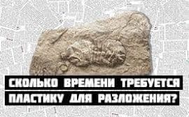 Сколько времени требуется пластику для разложения?