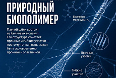 А знали ли вы, что паутина Человека-паука - это почти урок по материаловедению?