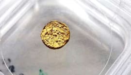 Швейцарские алхимики превратили пластик в золото